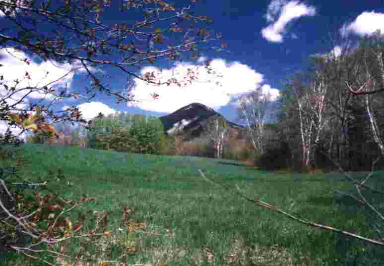 medomtn.jpg (103216 bytes)